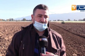 فلاحة: مستثمرون يستعينون بالخبراء التقنيين لتحسين المردودية