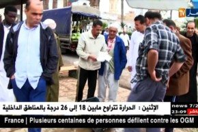 جمع الحلزون يتحول لمصدر رزق الشباب بعين تموشنت