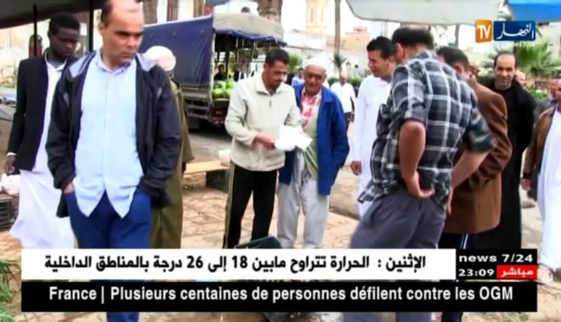 جمع الحلزون يتحول لمصدر رزق الشباب بعين تموشنت