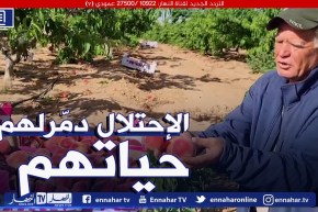 فلسـ.ـطين : خسائر كبيرة تكبدها القطاع الزراعي بعد تصــ.ـعيد الإحتــ.ـلال الأخير بغــ.ـزة