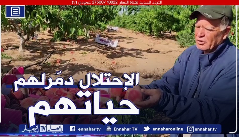 فلسـ.ـطين : خسائر كبيرة تكبدها القطاع الزراعي بعد تصــ.ـعيد الإحتــ.ـلال الأخير بغــ.ـزة