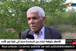 فلاحة: الإستثمار في الزيتون بدل المشمش.. توجه فلاحو ولاية باتنة