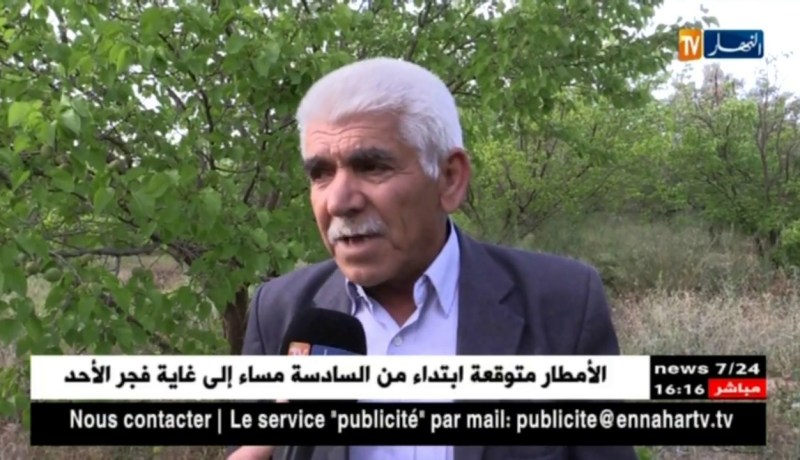 فلاحة: الإستثمار في الزيتون بدل المشمش.. توجه فلاحو ولاية باتنة