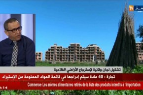 خبير فلاحي/ “المحافظة على العقار الفلاحي مسؤولية الجميع..وليس الوزارة وحدها”