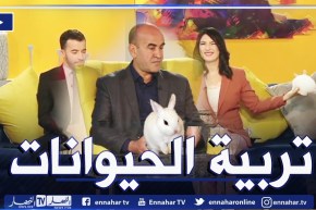 طرق العناية بالحيوانات الأليفة في المنزل