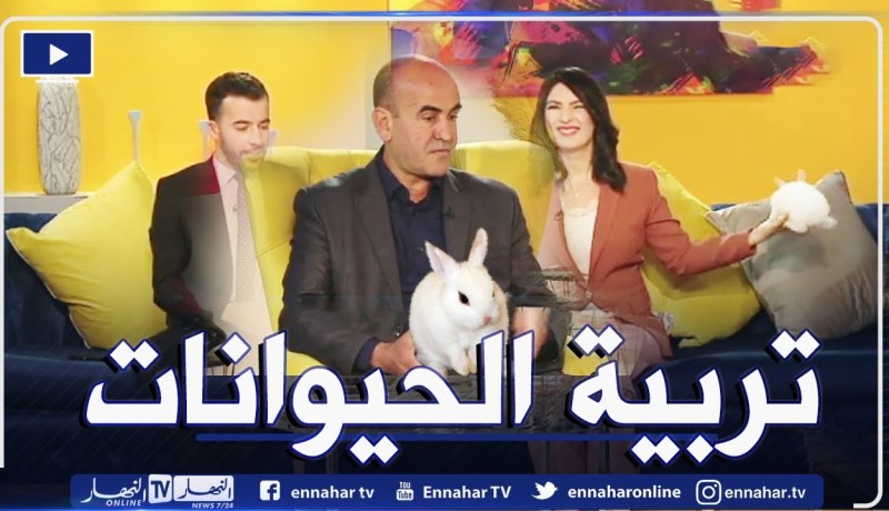 طرق العناية بالحيوانات الأليفة في المنزل