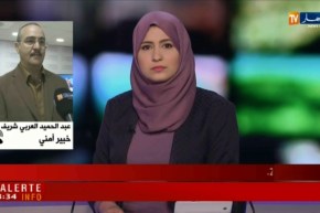 خبير أمني/”هناك إستراتجية متبعة من طرف الجيش للقضاء على الإرهاب”