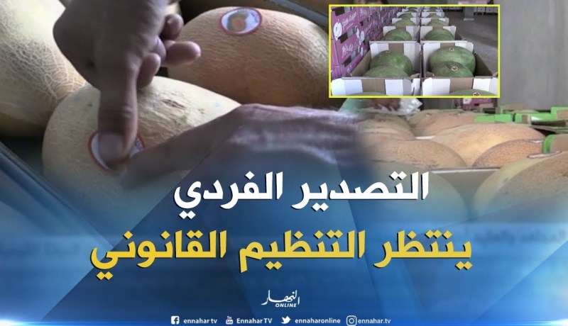 تجارة/ عمليات التصدير الفردية تتوالى في إنتظار تنظيم مهنة المصدر
