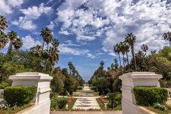 توقيف شاب يحمل علم إسرائيل في حديقة الحامة!