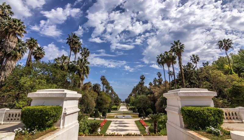 توقيف شاب يحمل علم إسرائيل في حديقة الحامة!