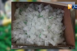 تبسة: حجز قنطارين و 38 كلغ من مادة الذخيرة الحية المهربة و 3600 خرطوشة
