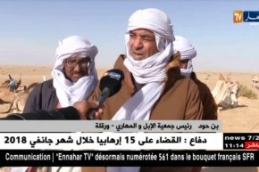 ورقلة: بداية عملية تشحاب الإبل تحظيرا للمشاركة في سباقات المهاري