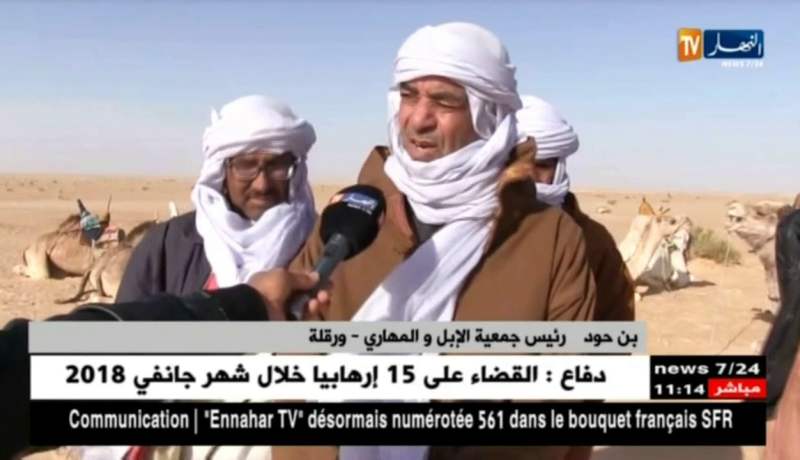 ورقلة: بداية عملية تشحاب الإبل تحظيرا للمشاركة في سباقات المهاري