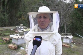 بجاية/ نجيمة..المرأة التي إرتبطت منذ صغرها بالفلاحة التي تسترزق منها