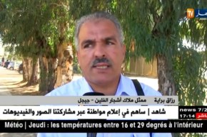 جيجل: إنتاج 15 ألف قنطار من مادة الفلين.. رهان على التصدير