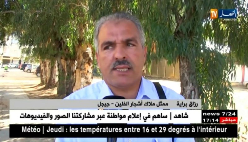 جيجل: إنتاج 15 ألف قنطار من مادة الفلين.. رهان على التصدير