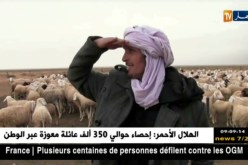تيارت: البدو الرحل.. إفطار مميز وعادات متمسك بها لعقود من الزمن