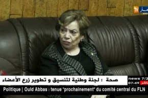 المرأة الفلسطينية ..ثورة ناعمة ضد الإحتلال الصهيوني