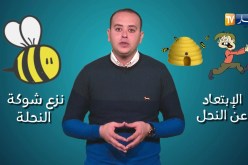 صحةMAG: طريقة علاج لسعة نحلة..!!