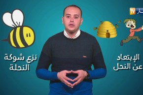 صحةMAG: طريقة علاج لسعة نحلة..!!