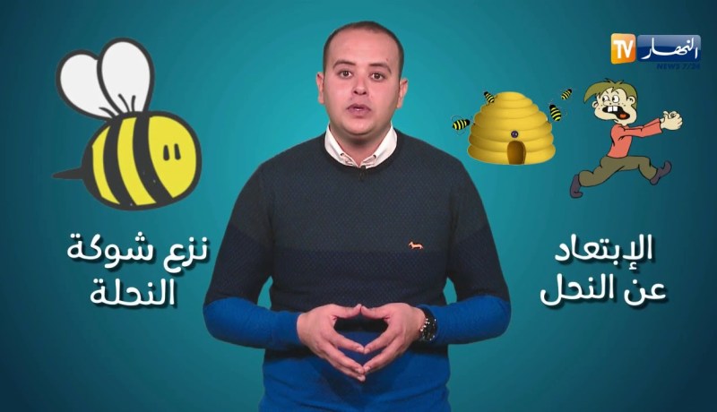 صحةMAG: طريقة علاج لسعة نحلة..!!
