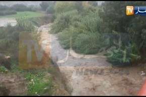 فيضانات كارثية في منطقة حروزة بأعالي مدينة تيزي وزو