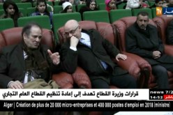 صراع حول بطاقة الفنان يثير إنقسامات وسط الفنانين