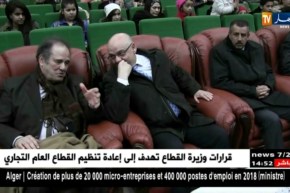 صراع حول بطاقة الفنان يثير إنقسامات وسط الفنانين