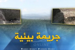 جورنان اليوم : غابات تتحول إلى مفارغ عشوائية لمخلفات مذابح الدواجن