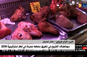 مجتمع: تلبية رغبات الزوج..معترك آخر تخوضه الجزائريات في الشهر الفضيل