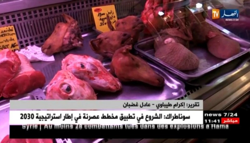 مجتمع: تلبية رغبات الزوج..معترك آخر تخوضه الجزائريات في الشهر الفضيل