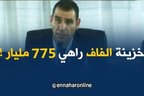 زطشي : “: خزينة الفاف في نهاية عام 2017..كانت 775 مليار !! “