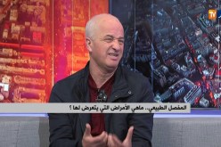 المفصل الطبيعي.. ماهي الأمراض التي يتعرض لها؟