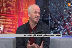 المفصل الطبيعي.. ماهي الأمراض التي يتعرض لها؟