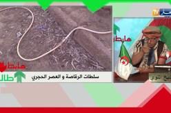 الشيخ النوي: العصر الحجري وماشي هكذا.. السلطات تع الرڨاصة بالبيض هابطين