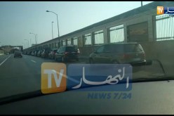 العاصمة: قرابة واحد كيلومتر من سيارات المغتربين يستعدون لمغادرة البلاد عبر الميناء!