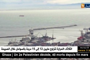 العجز التجاري للجزائر يسجل 490 مليون دولار خلال الثلاثي الأول من 2018