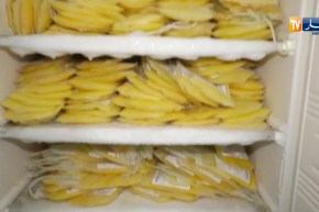 صحة/ إنخفاض حاد في التبرع بالدم مع تفشي فيروس “كورونا” بالجزائر