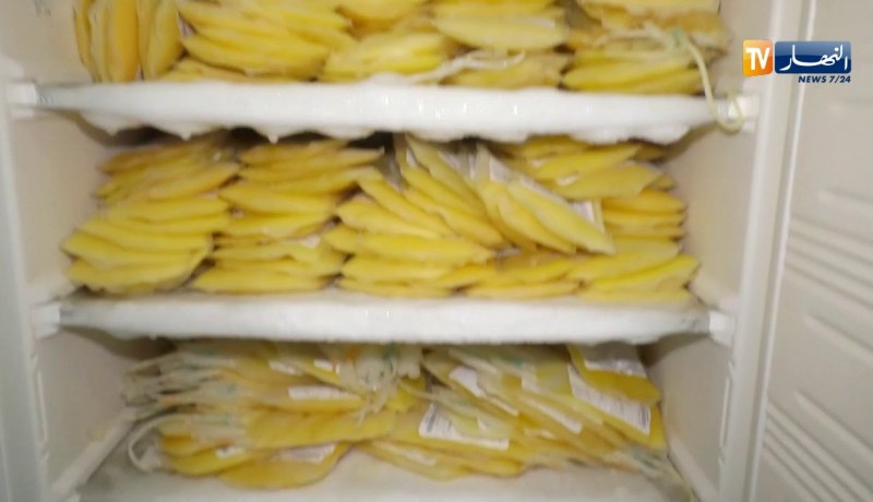 صحة/ إنخفاض حاد في التبرع بالدم مع تفشي فيروس “كورونا” بالجزائر