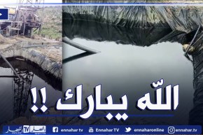مشاهد واضحة للبترول الذي عثر عليه فلاح أثناء حفره لبئر بقسنطينة