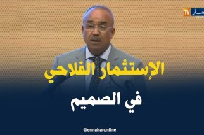 بدوي/ “الإستثمار الفلاحي من أولويات الوزارة..وهذا لإستقطاب المستثمرين”