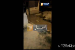 شاهد..حي بولاية ميلة يغرق في النفايات والمياه الملوثة