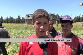 المدية: أطفال يودّعون مقاعد الدراسة ويكابدون ظروف قاسية من أجل لقمة العيش