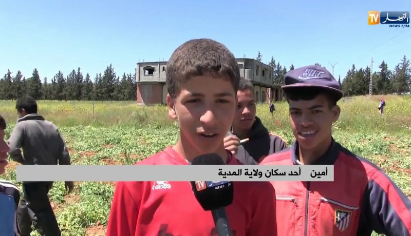 المدية: أطفال يودّعون مقاعد الدراسة ويكابدون ظروف قاسية من أجل لقمة العيش