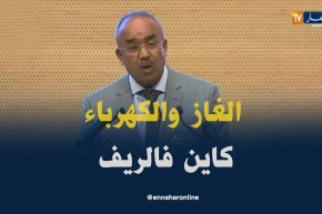 بدوي/ “زوّدنا مليون بيت بالغاز الطبيعي وأكثر من 220 ألف سكن ريفي بالكهرباء”