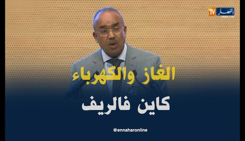 بدوي/ “زوّدنا مليون بيت بالغاز الطبيعي وأكثر من 220 ألف سكن ريفي بالكهرباء”
