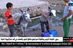 البويرة: سكان أولاد قاسم في رحلات بحث عن الماء