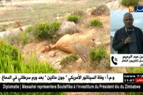 مراسل النهار بجيجل : ” السكان يعيشون حالة من الهلع بعد نفوق عدد من رؤوس الأبقار !! “