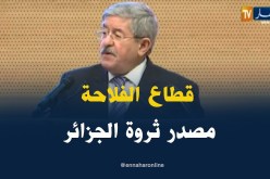أويحيى/ “قطاع الفلاحة هو ثاني قطاع في الجزائر خالق لثروة البلاد”