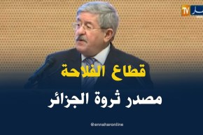أويحيى/ “قطاع الفلاحة هو ثاني قطاع في الجزائر خالق لثروة البلاد”